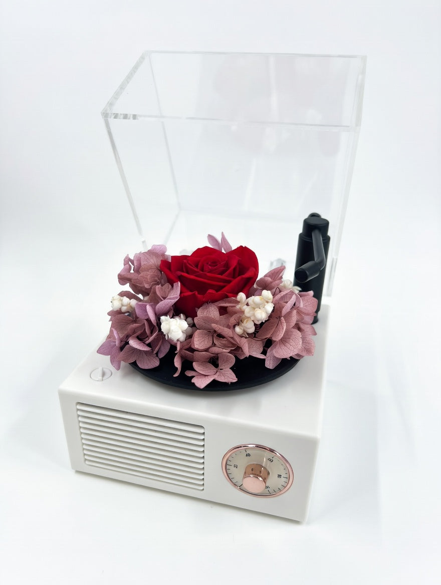 Custom Color Preserved Flower Bluetooth Speaker Music Box