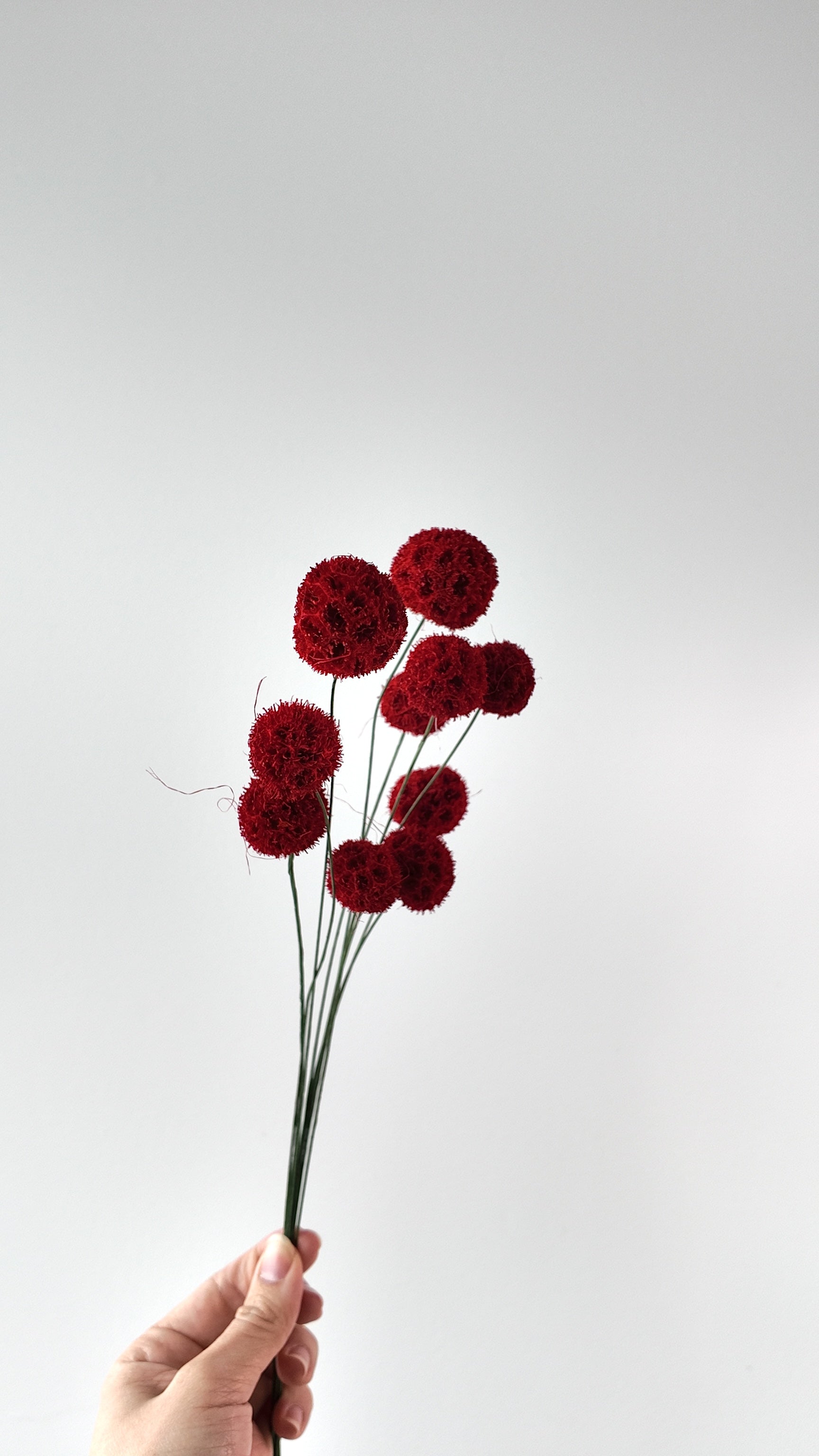 Preserved Craspedia Bouquet - 10 Stems