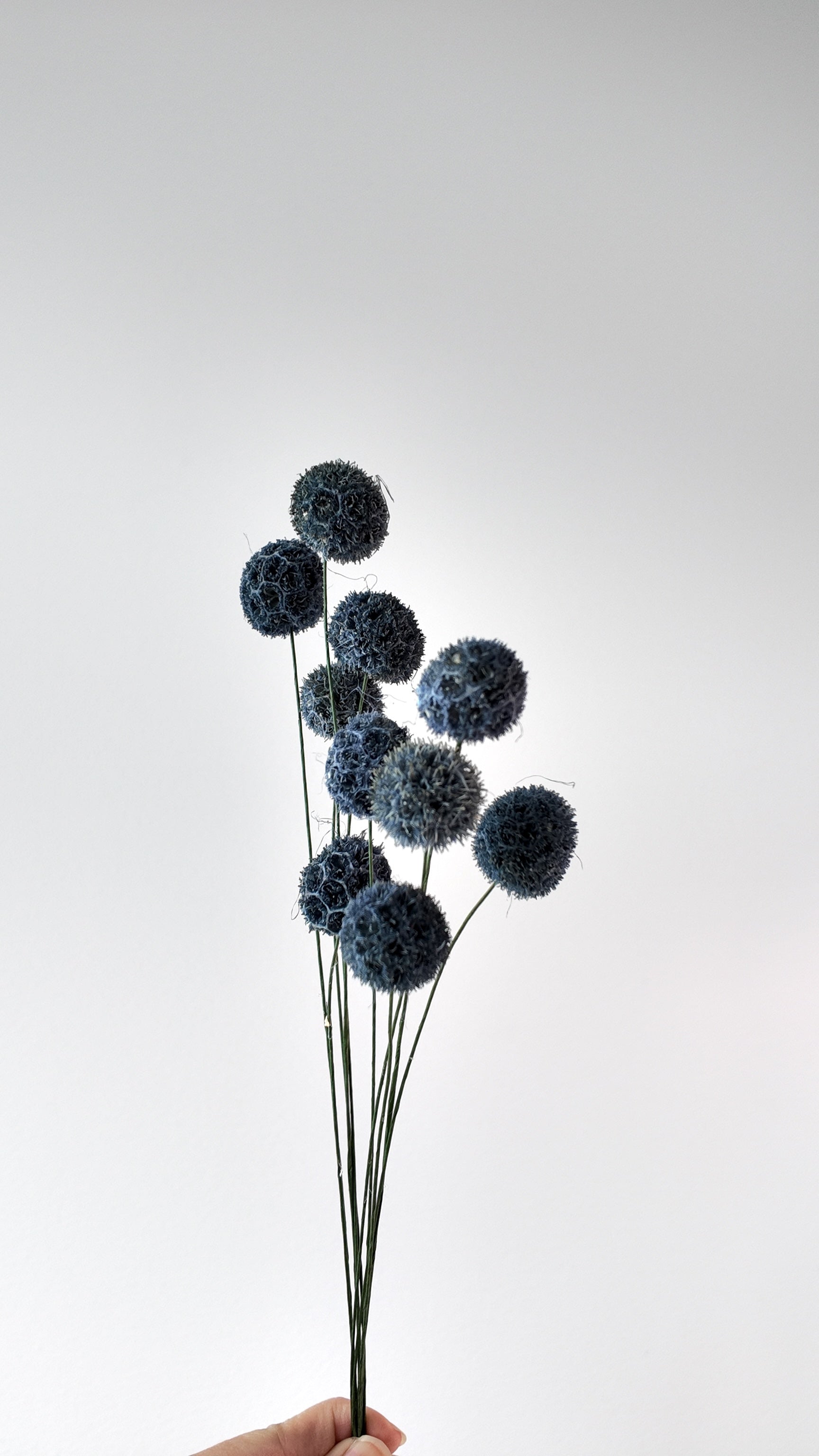 Preserved Craspedia Bouquet - 10 Stems