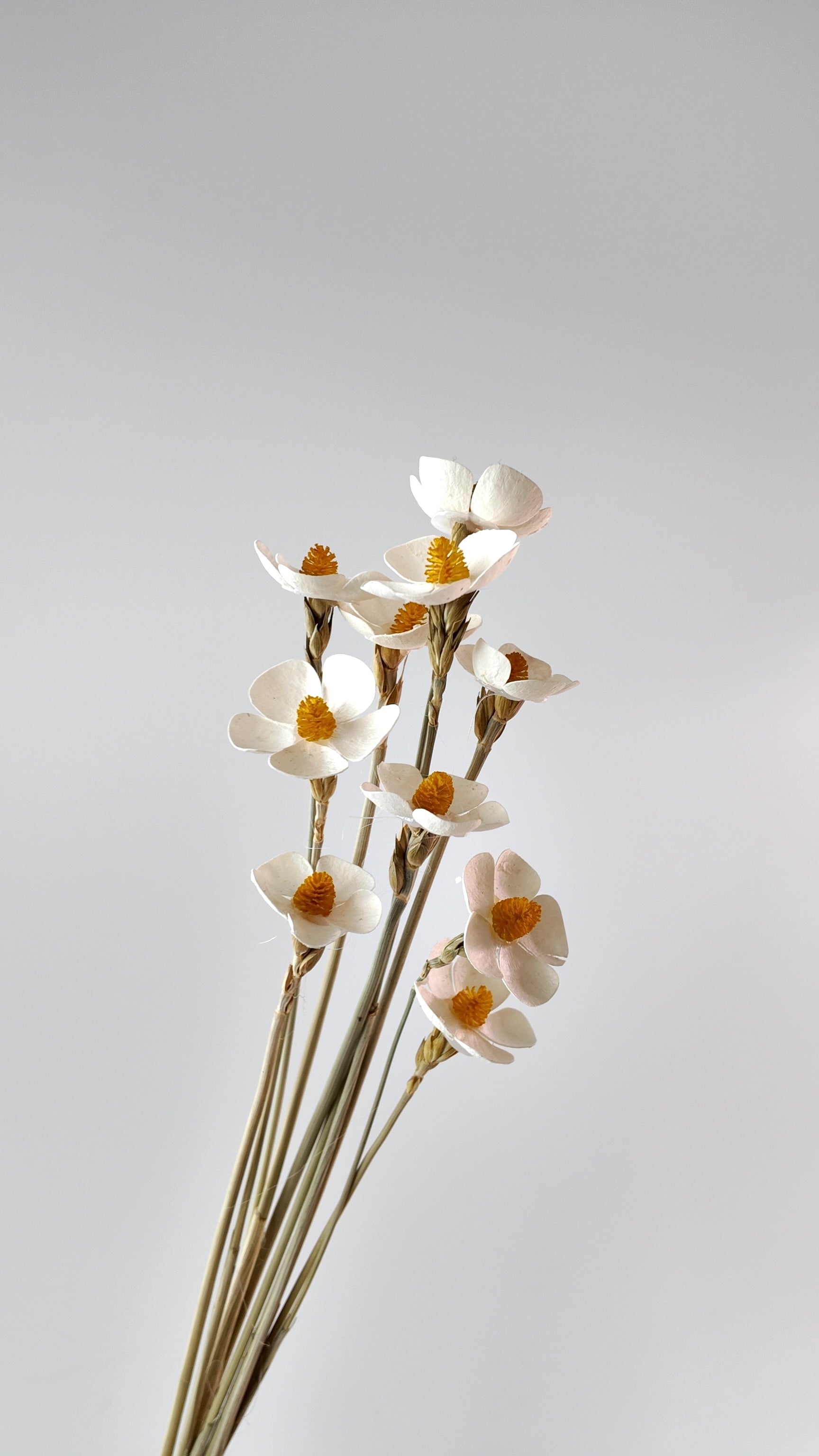 Violet Dried Handmade Flowers Bouquet - Approx. 10-12 Flowers