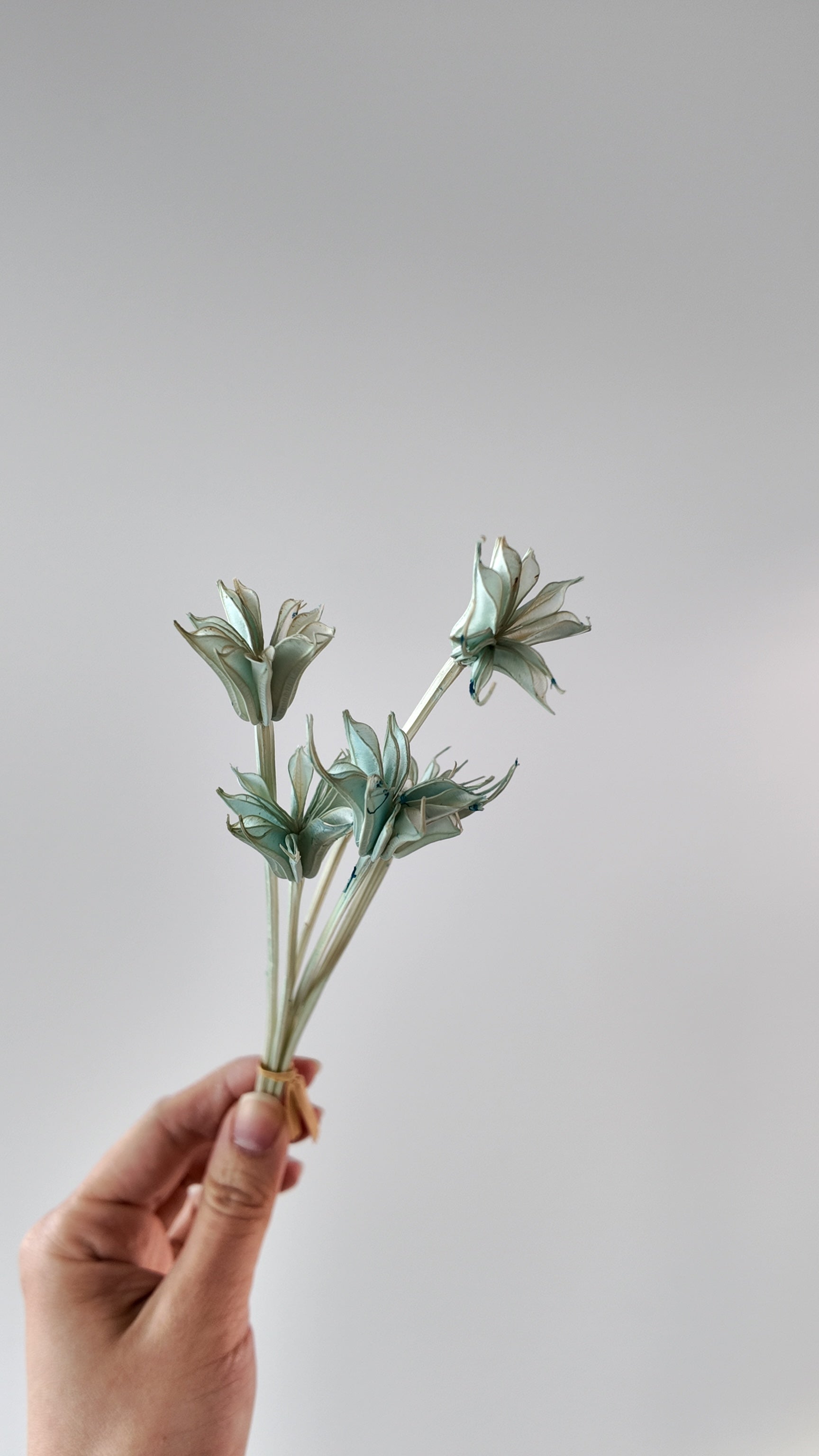 Preserved Octagonal Star Flower Bouquet - Large (Wood Lilies)