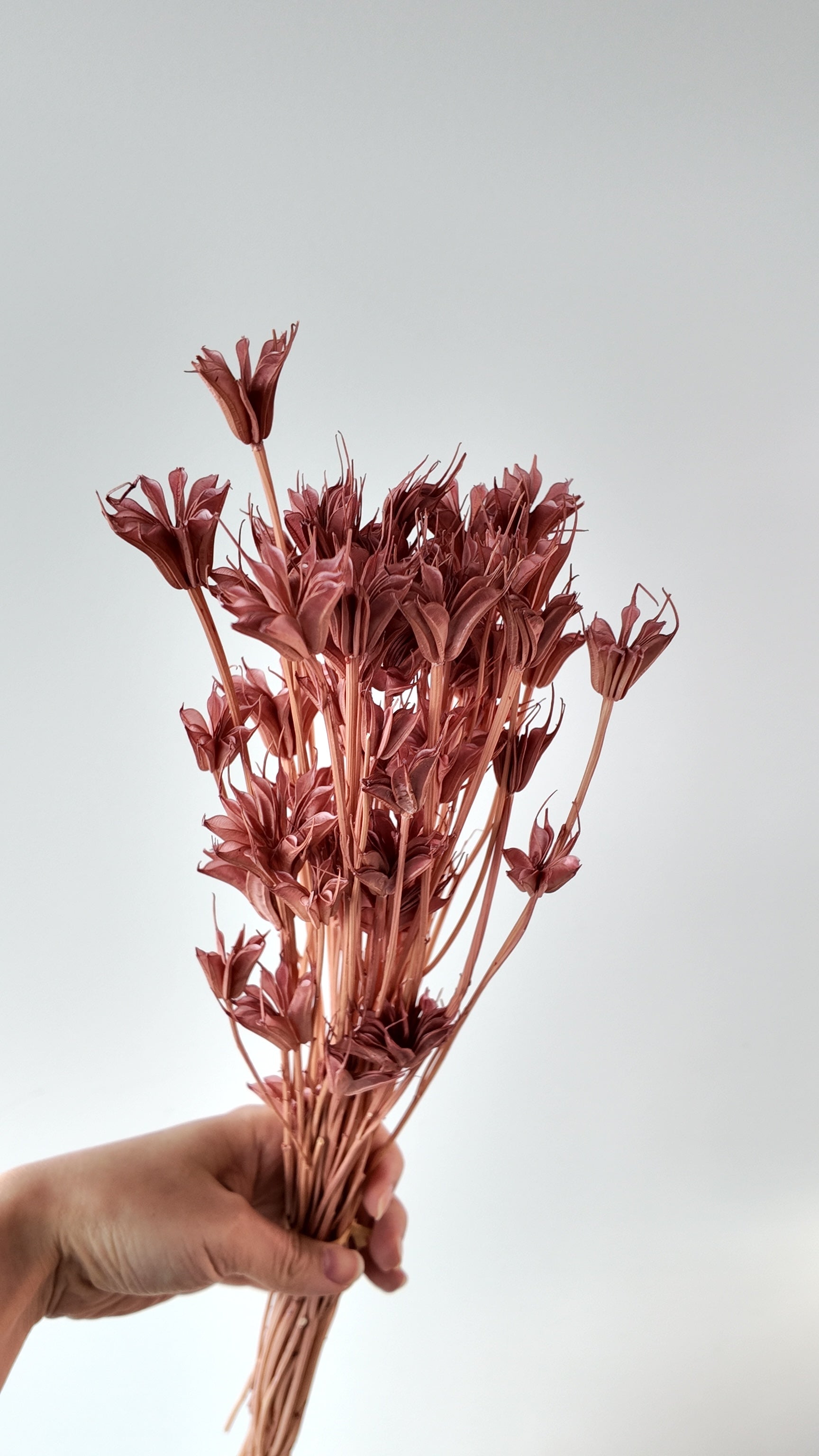 Preserved Octagonal Star Flower Bouquet - Large (Wood Lilies)