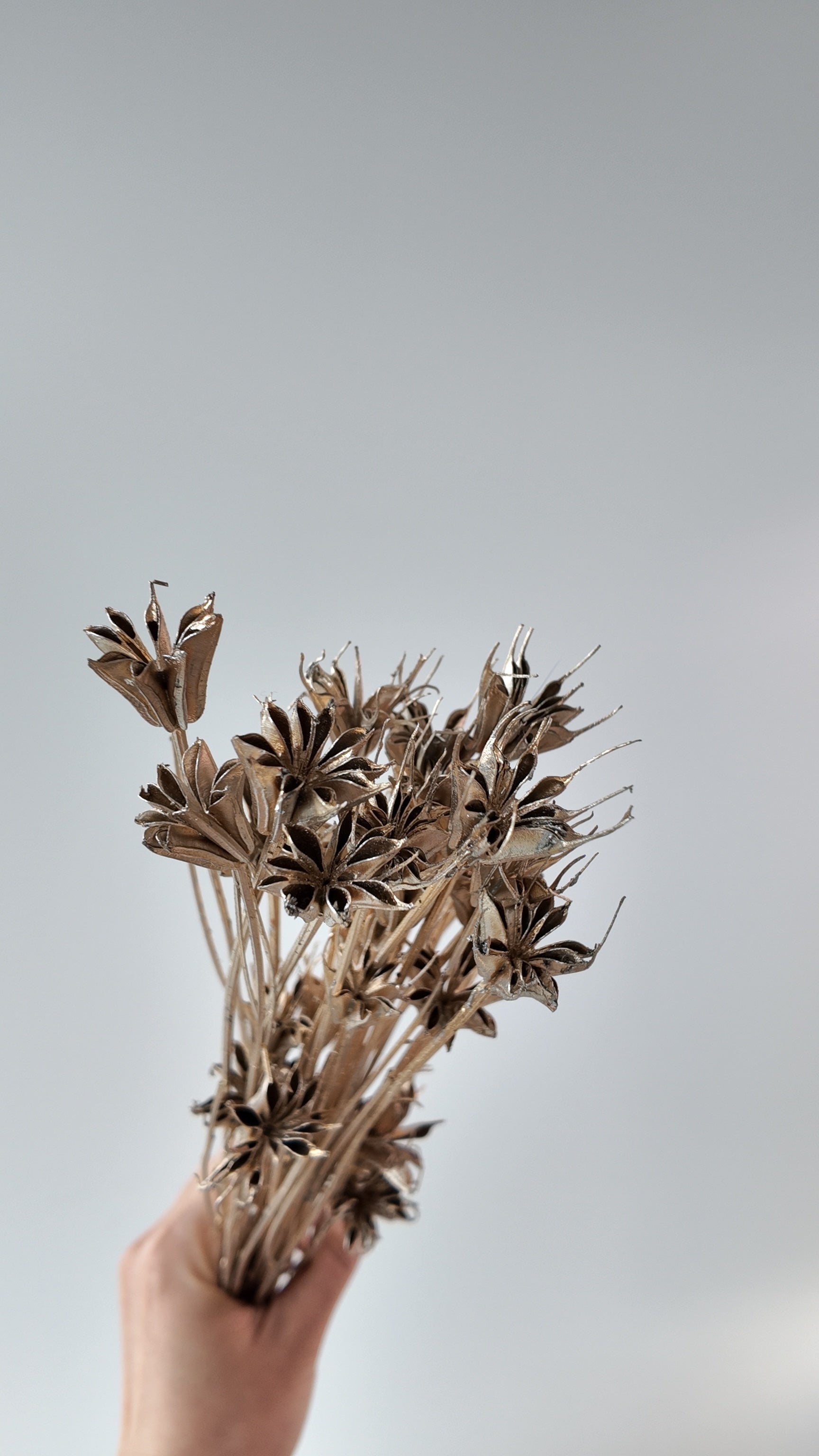 Preserved Octagonal Star Flower Bouquet - Large (Wood Lilies)
