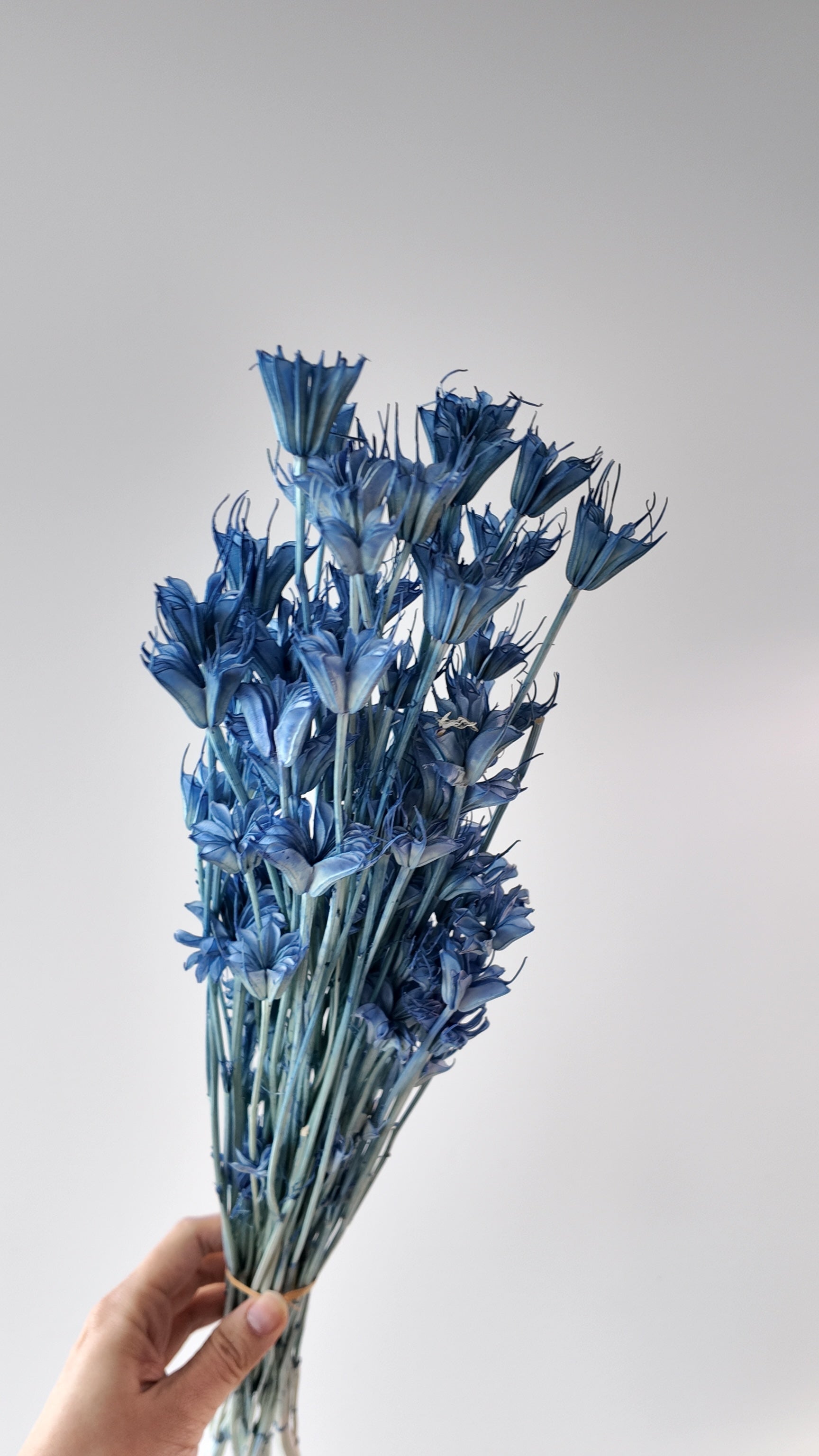 Preserved Octagonal Star Flower Bouquet - Large (Wood Lilies)