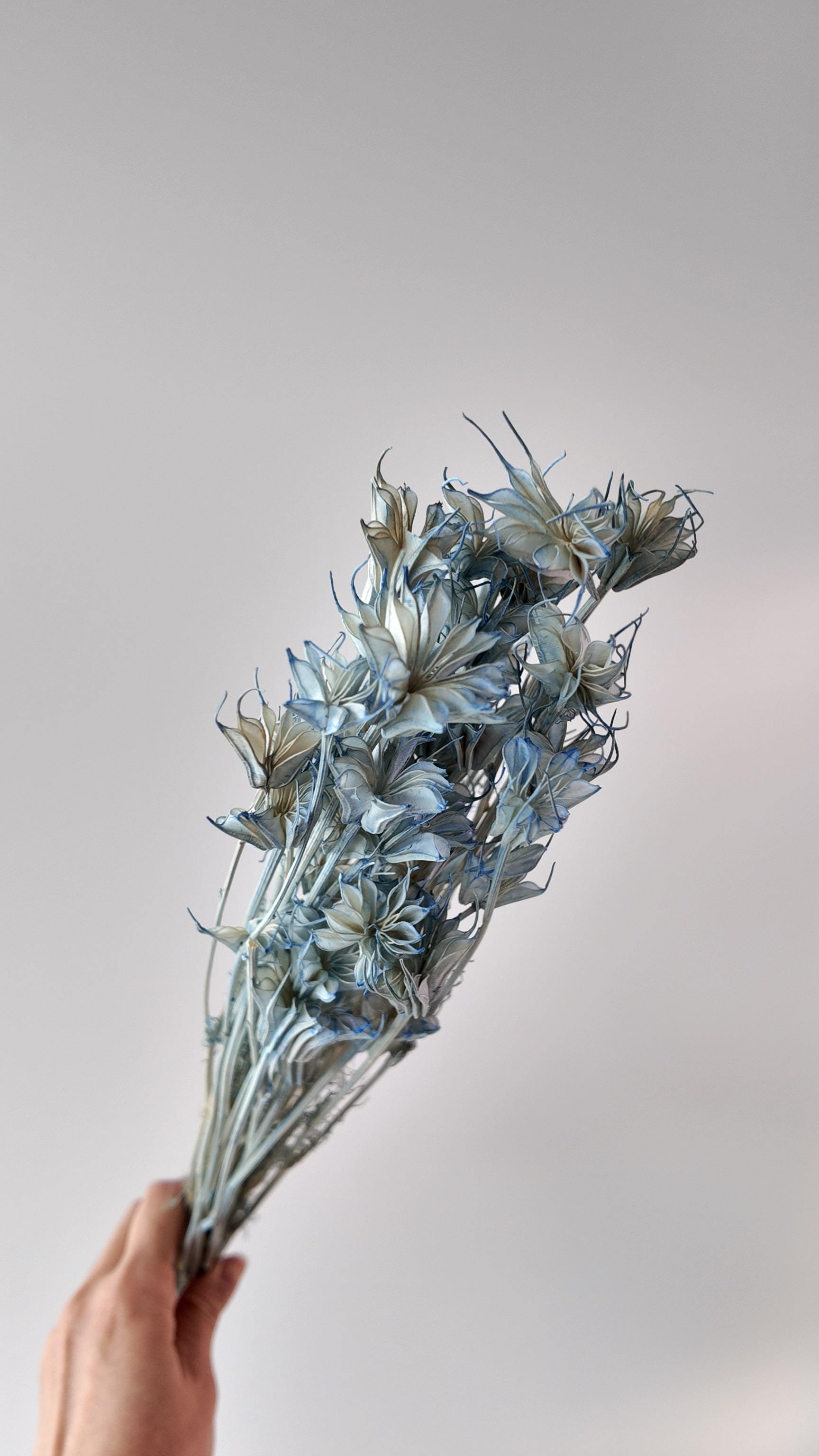 Preserved Octagonal Star Flower Bouquet - Large (Wood Lilies)