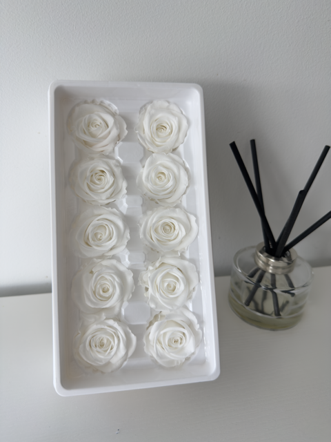 Preserved Roses [Black Box Set - 10 Blooms]