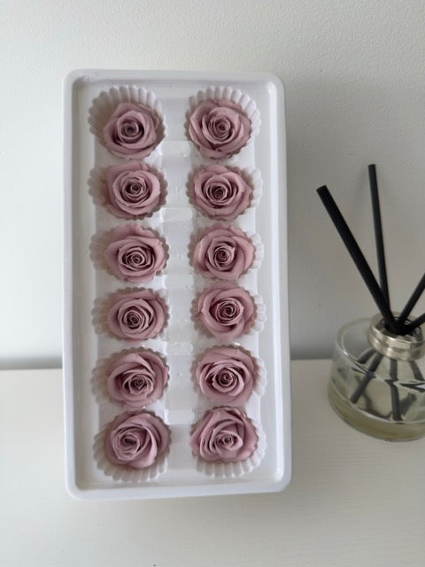Preserved Roses [Black Box Set - 12 Blooms]