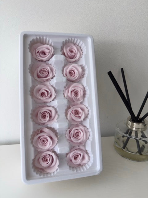 Preserved Roses [Black Box Set - 12 Blooms]