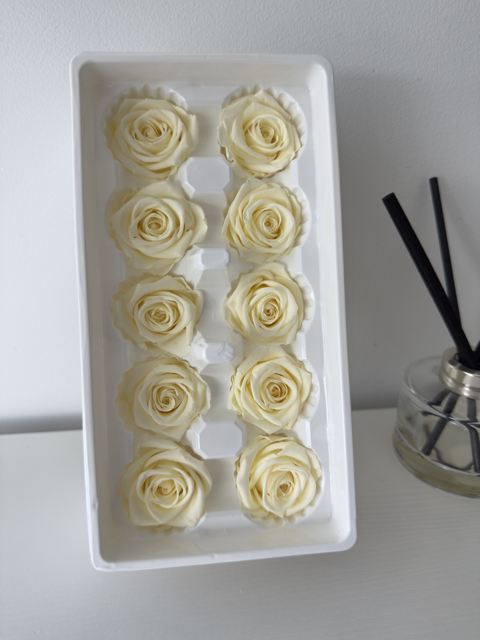 Preserved Roses [Black Box Set - 10 Blooms]