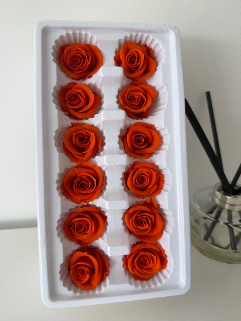 Preserved Roses [Black Box Set - 12 Blooms]