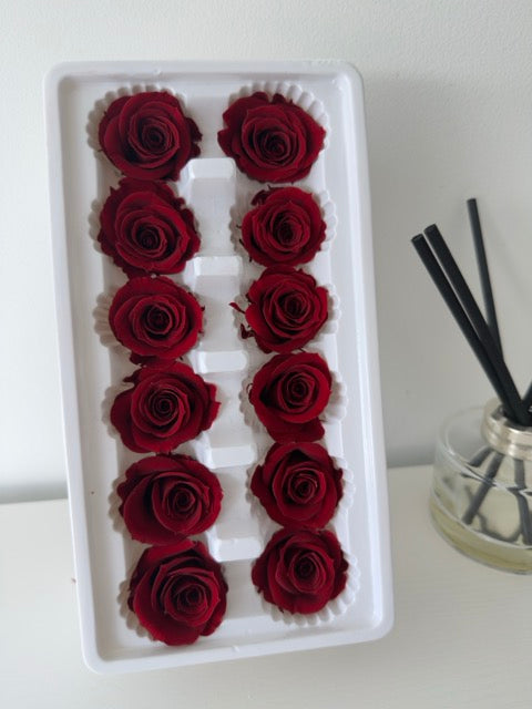 Preserved Roses [Black Box Set - 12 Blooms]