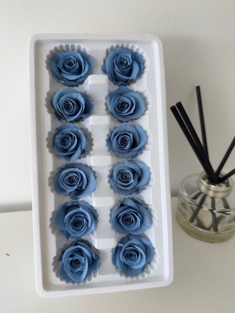 Preserved Roses [Black Box Set - 12 Blooms]