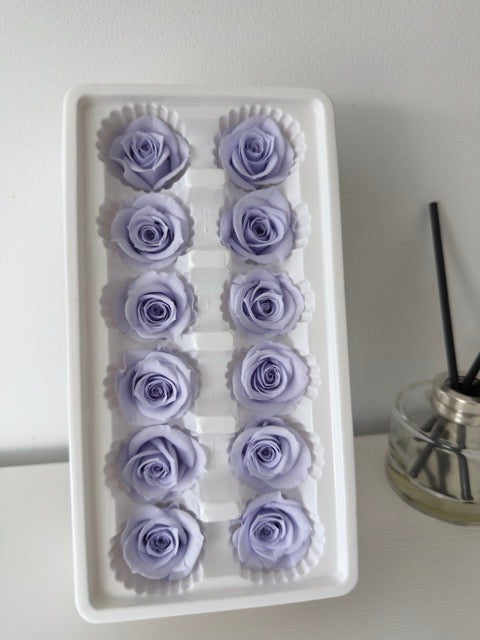 Preserved Roses [Black Box Set - 12 Blooms]