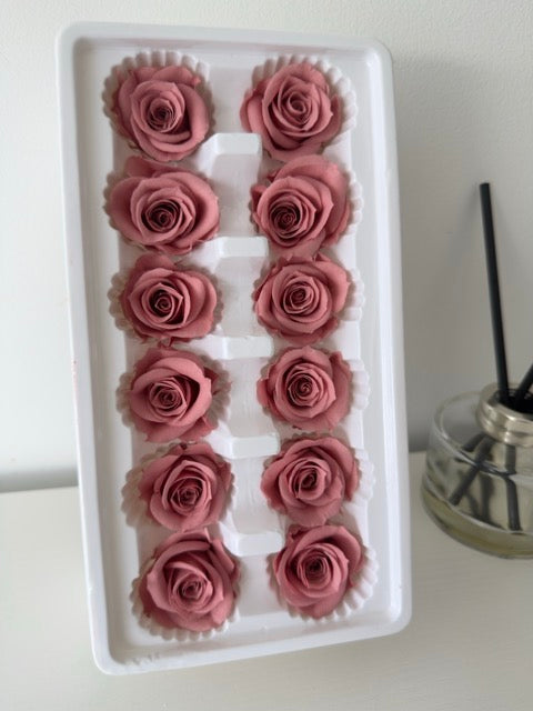 Preserved Roses [Black Box Set - 12 Blooms]