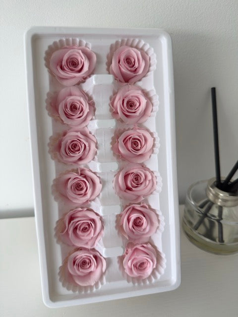 Preserved Roses [Black Box Set - 12 Blooms]