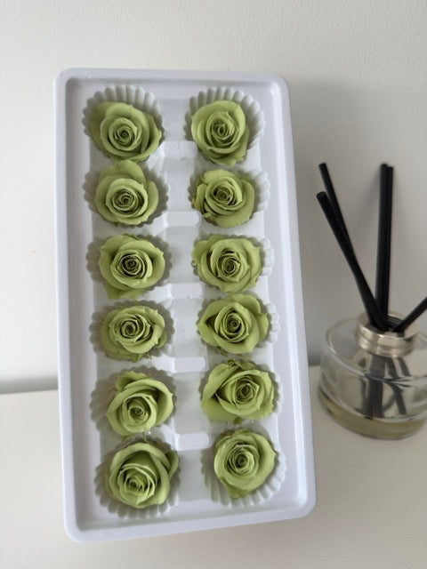 Preserved Roses [Black Box Set - 12 Blooms]