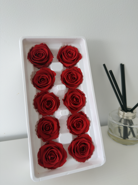 Preserved Roses [Black Box Set - 10 Blooms]
