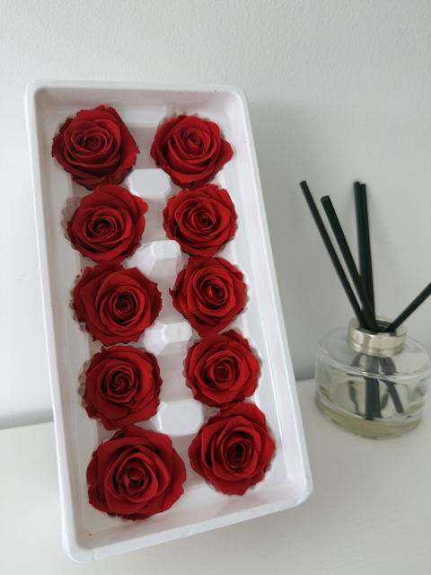 Preserved Roses [Black Box Set - 10 Blooms]