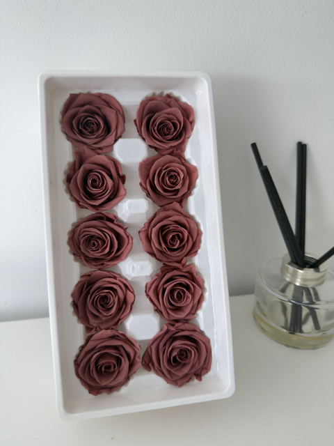 Preserved Roses [Black Box Set - 10 Blooms]