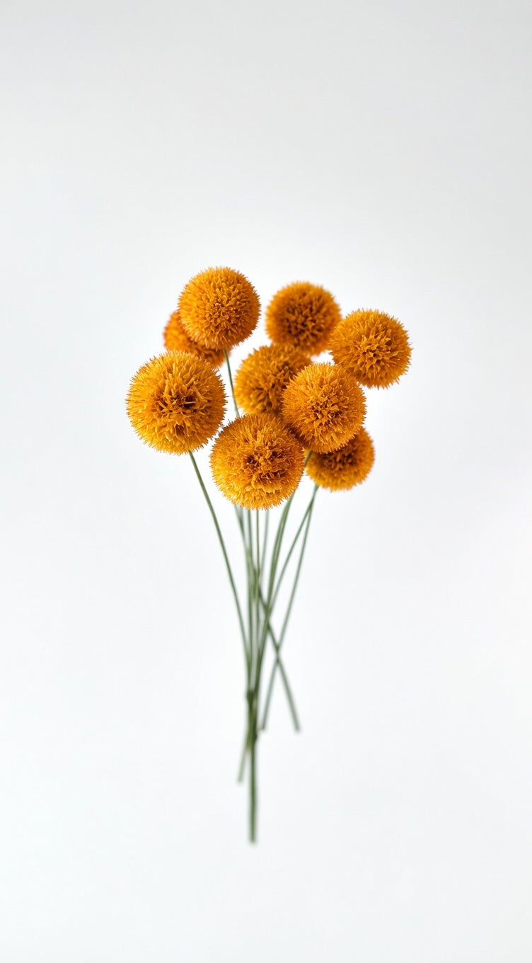 Preserved Craspedia Bouquet - 10 Stems