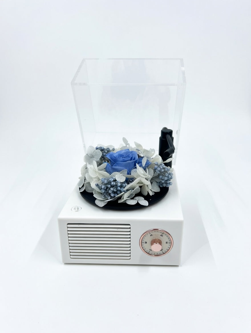 Custom Color Preserved Flower Bluetooth Speaker Music Box