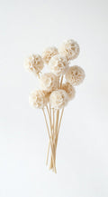 Preserved Windmill Fruit Bouquet - 10 Stems