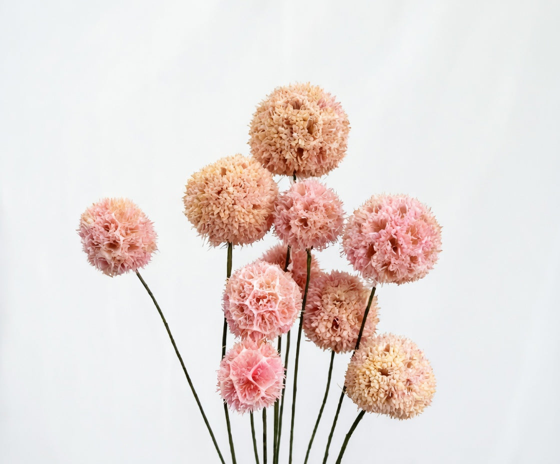 Preserved Craspedia Bouquet - 10 Stems
